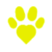 patinha-amarela-icon (1)